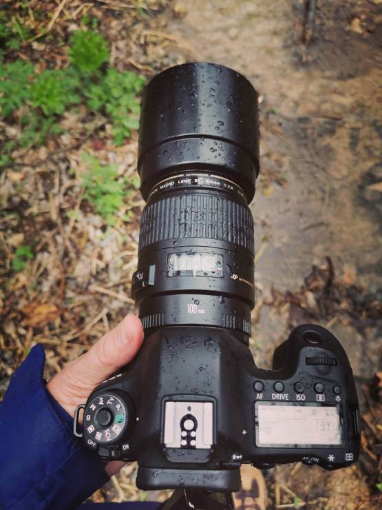 pluie Canon 6D pas l'équipement